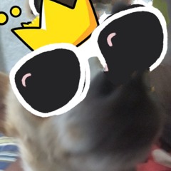 Loky fashion