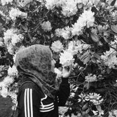 Marwa Diarbakerly
