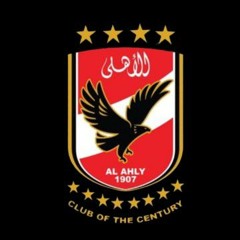 Mostafa Kamel 12