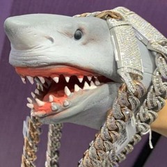 Shark Puppet