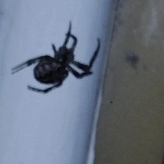 atleastiknowhowtoworkaroom