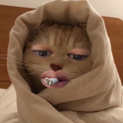 Vann Net