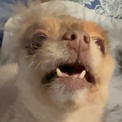 Barry B. Benson + Shrek face.