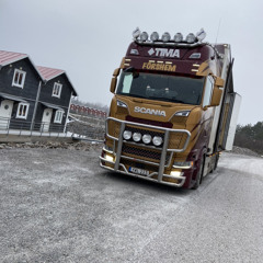Gustav 9