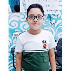 ahmed hetata