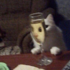 안정이 필요합니다🪰