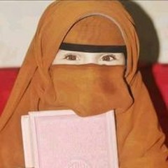نور القرآن