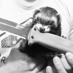 Fritten Med Fritterne