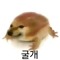 블루 록(73555532 55234)