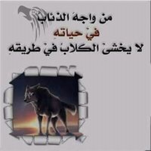 Khaled Bebo’s avatar