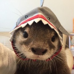 가비