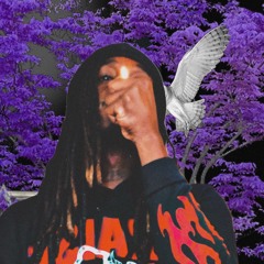 WOP HONCHO