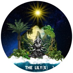 The Lily(s)
