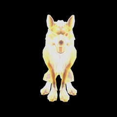 k9