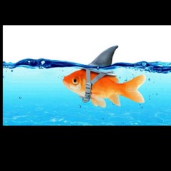 trucmai cutephomaique