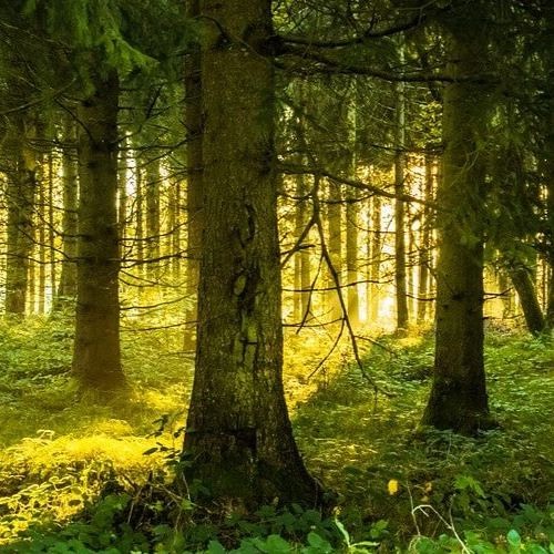 Jar Of Hearts (Stereophonics Remix)-Christina Perri