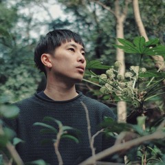 Primitive Intelligence