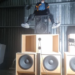 StepLadder