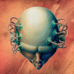 A Fight For Attention