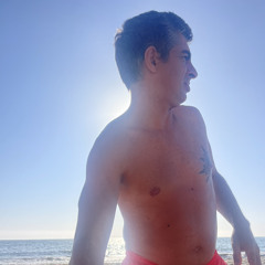 Mário Vicente Barradas