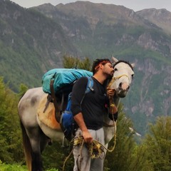 Hamed dehestani