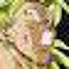 Broly