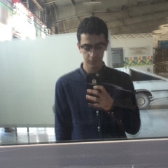ahmed ewida