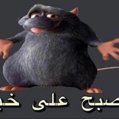 Dwóch Typów Freestyle