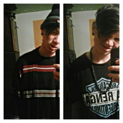 Puma_estricto