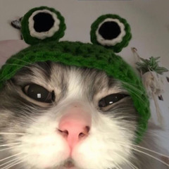Thắng Ori