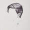Greg Danci
