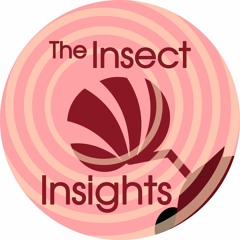 The Insect Insights