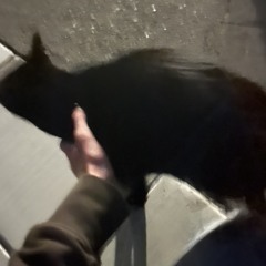 legalize nuclear bombs