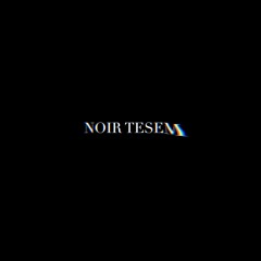 NOIR TESEM