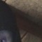 L Chok
