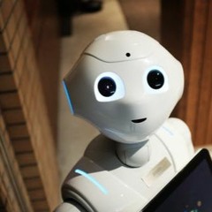 Bot 002