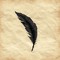 Raven's Quill