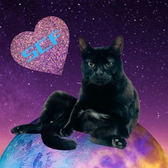 Space Cat Flow