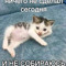 нуя
