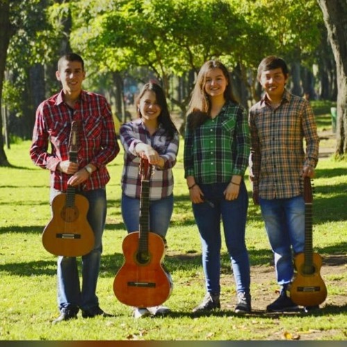 Stream El Requinto Carranguero by Los Vitocos | Listen online for free on  SoundCloud