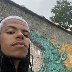 Gustavo Moutinho Goulart