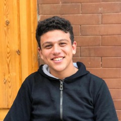 Hassan Aboshehata