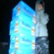 Villin425