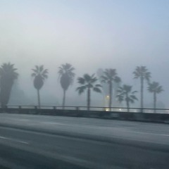 Music comes from the heart