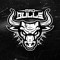Mad Bulls