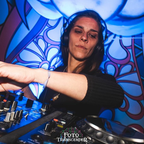 Prog in House
