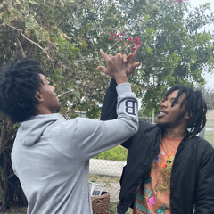 FlokkB
