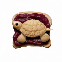 Song Hope Spring Book