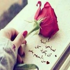 Mona Elshahawy