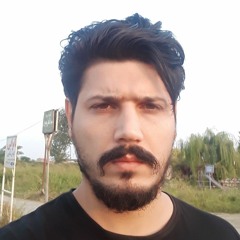 bagherjiz02